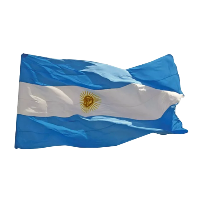 Bandera 20x30cm Argentina - Imagen 1
