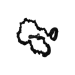 Pita para remo X-Life