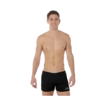 Boxer liso adulto negro Heracles
